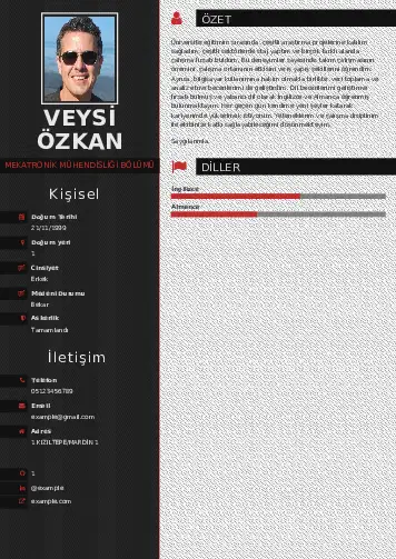 Mekatronik Mühendisliği Cv Örnekleri cv indir